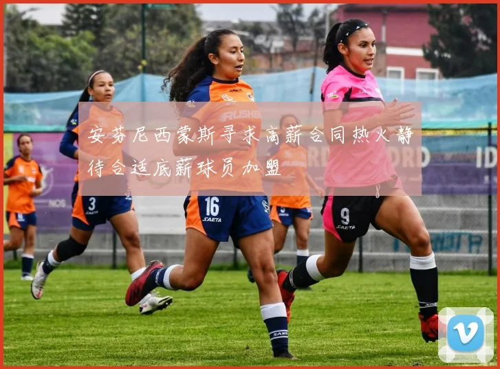 安芬尼西蒙斯寻求高薪合同热火静待合适底薪球员加盟