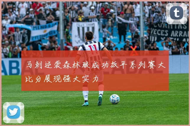 马刺逆袭森林狼成功扳平系列赛大比分展现强大实力