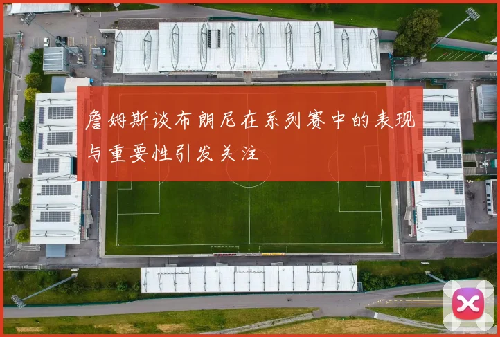 詹姆斯谈布朗尼在系列赛中的表现与重要性引发关注